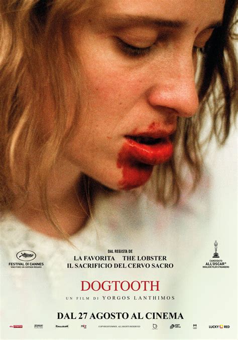 Dogtooth (2009): Where to Watch and Stream Online